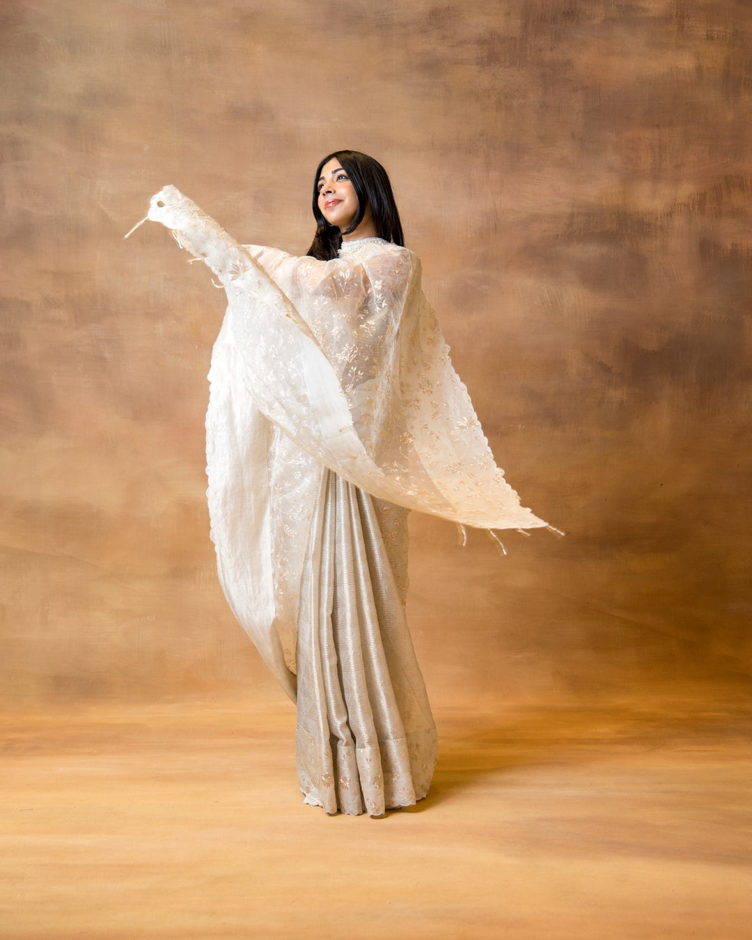 Gold Silver Benarasi Saree