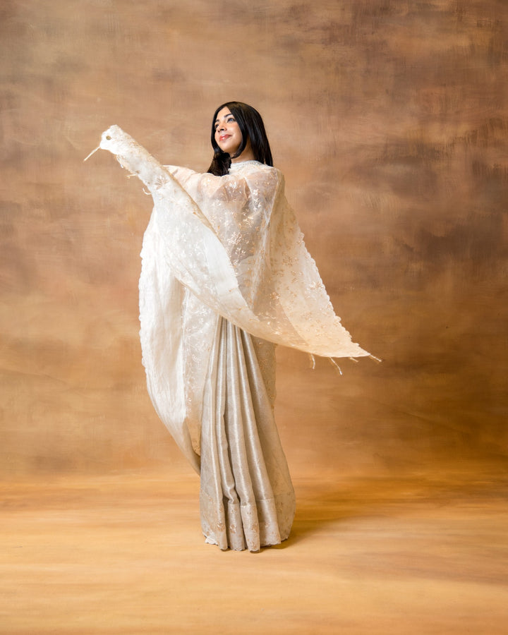 Gold Silver Benarasi Saree