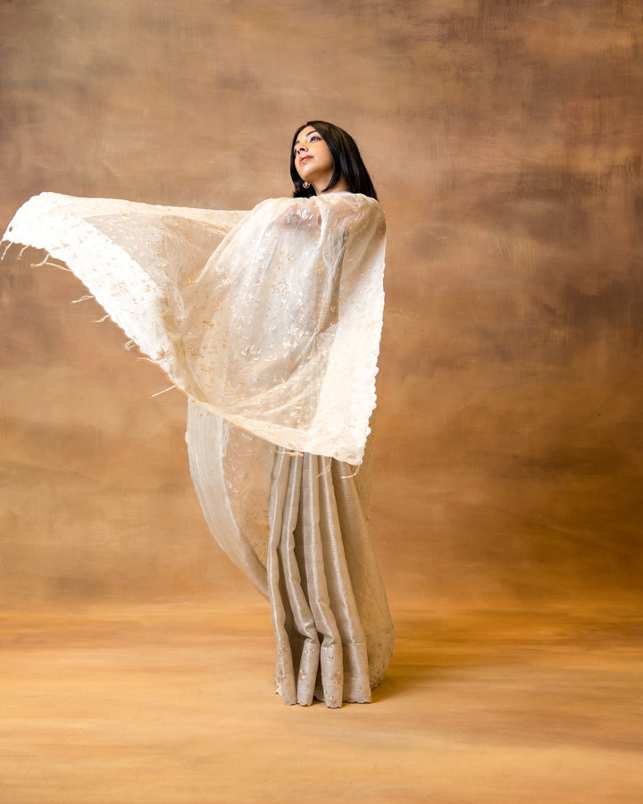 Gold Silver Benarasi Saree