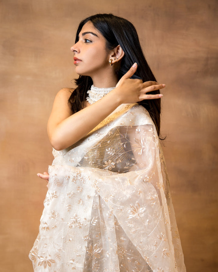 Gold Silver Benarasi Saree