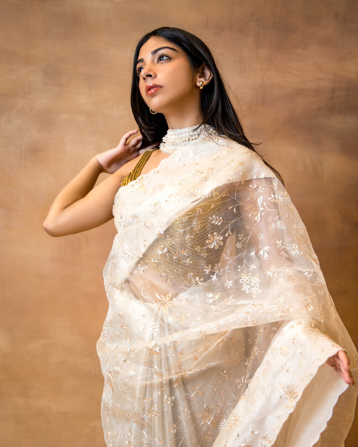 Gold Silver Benarasi Saree
