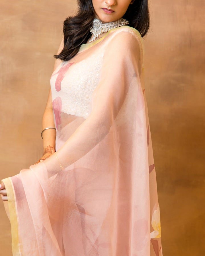 Handpainted Rose Pink Organza Saree