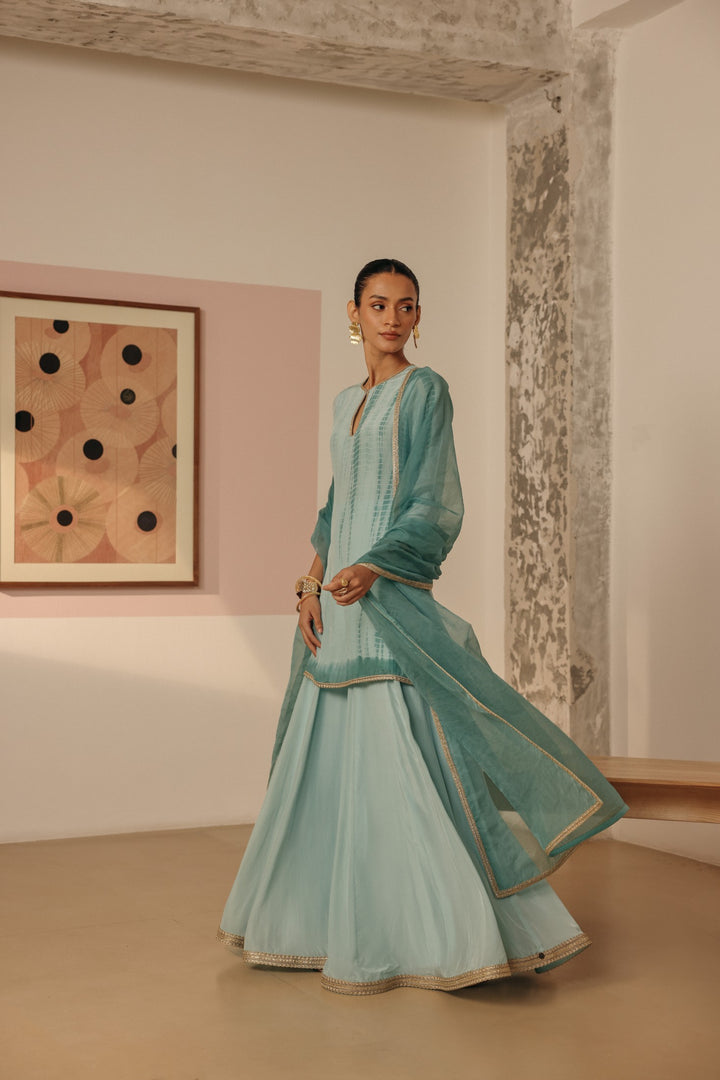 Blue Organza Dupatta