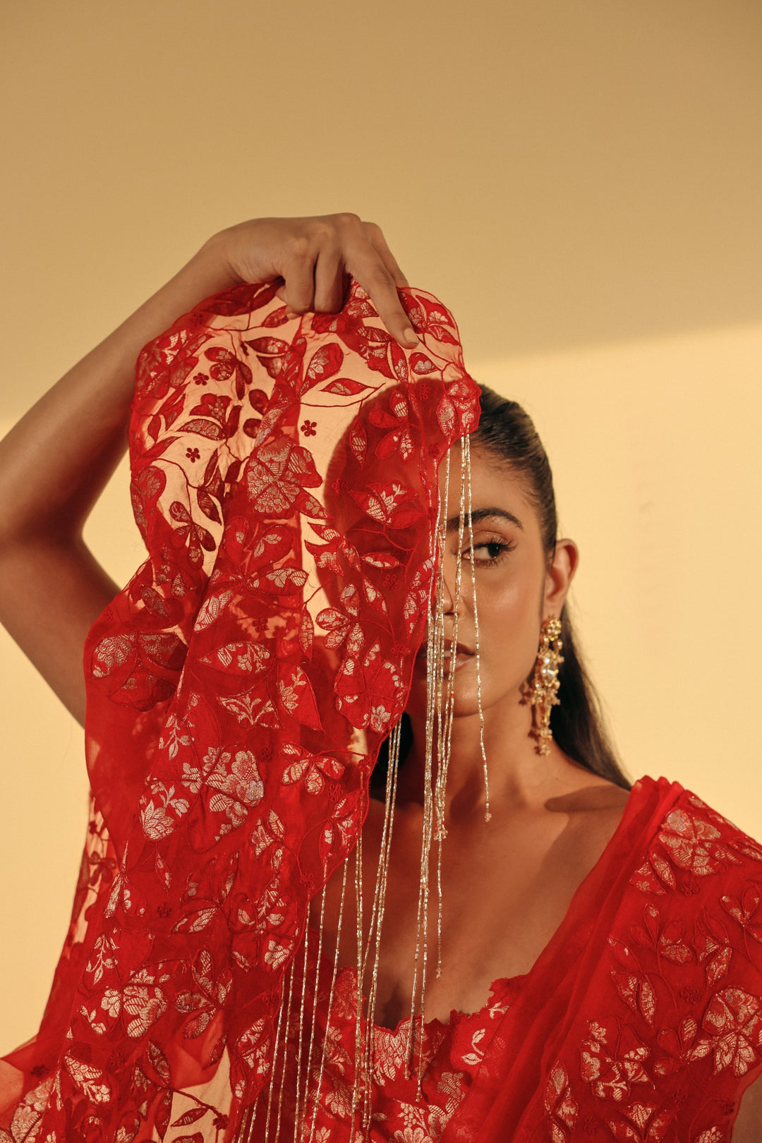 Red Organza Appliqué Saree (Ready To Ship)