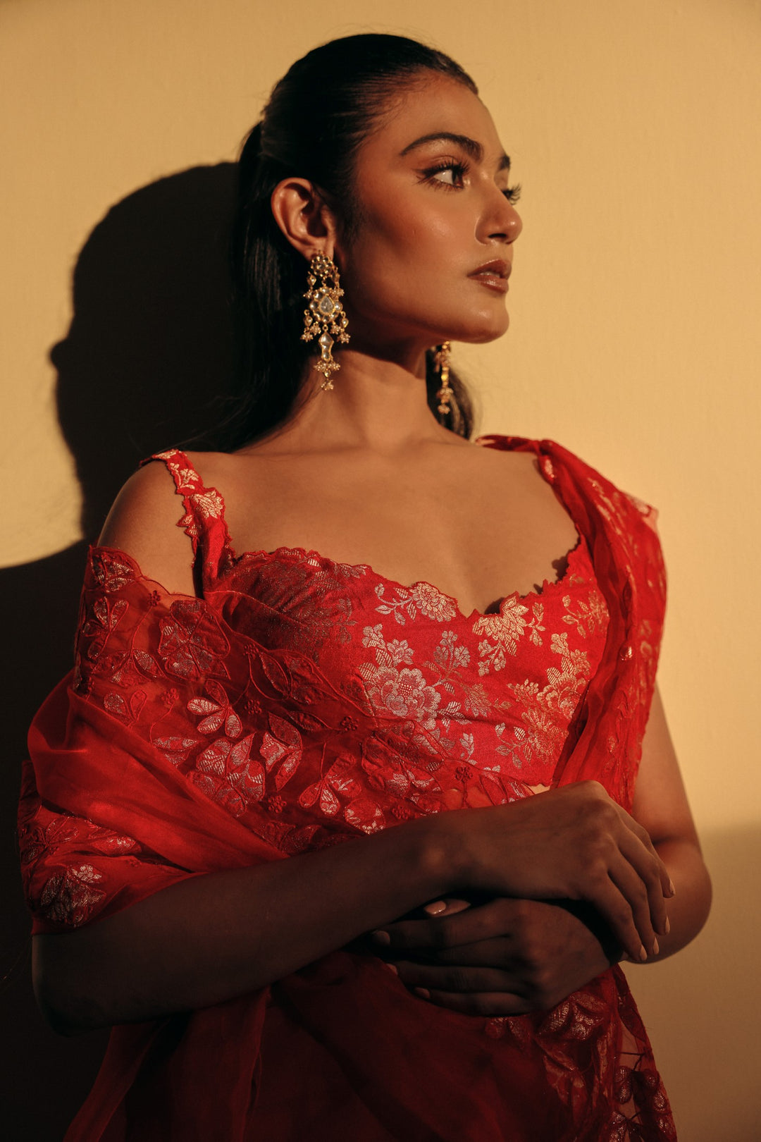 Red Organza Appliqué Saree (Ready To Ship)